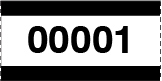 Large Print Numbered Single Roll Ticket Black